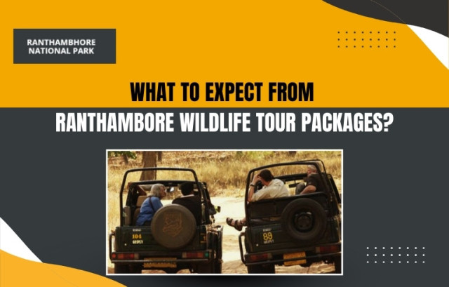 What to Expect from Ranthambore Wildlife Tour Packages?