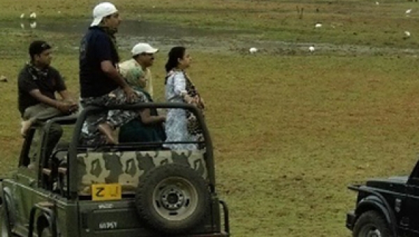 Ranthambore Special wildlife package