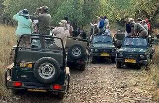 Best zone in ranthambore for tiger spotting