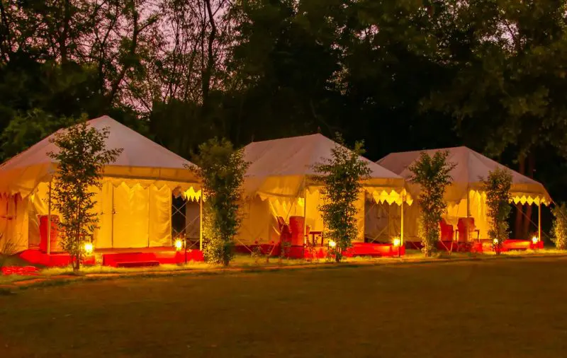 Jungle View Resort