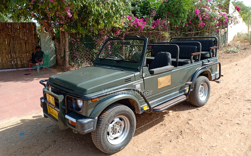 safari jeep photo