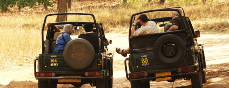 Ranthambore Tour Packages 8 Nights 9 Days