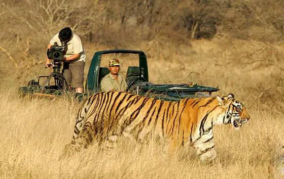 Ranthambore Odyssey Tour