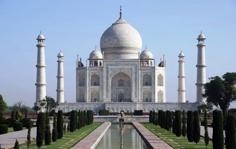 Taj with Tiger Tour