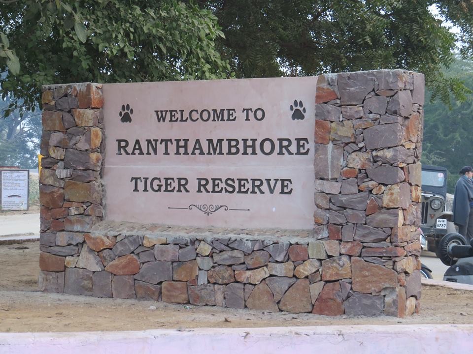 Ranthambore National Park_011