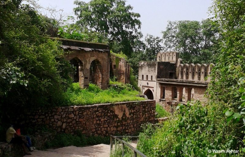 Castle Ranthambhore