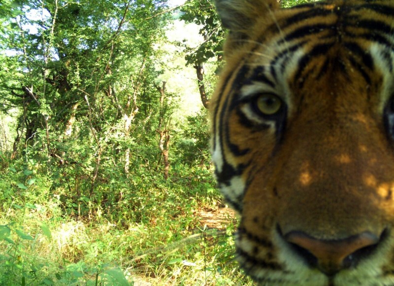 Feature Image