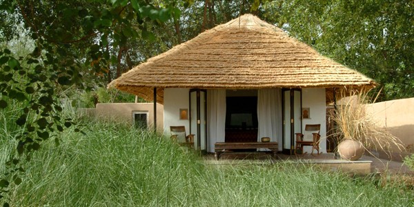 Hotels in Ranthambore National Park