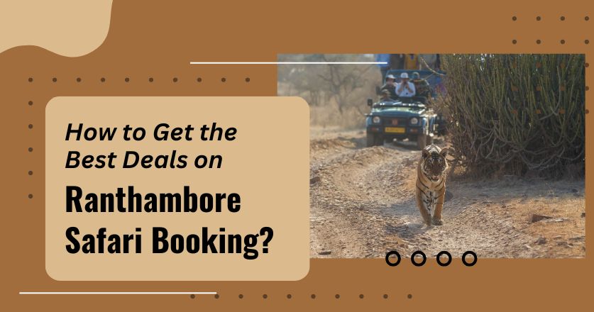 How to Get the Best Deals on Ranthambore Safari Booking?