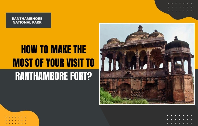 How to Make the Most of Your Visit to Ranthambore Fort?
