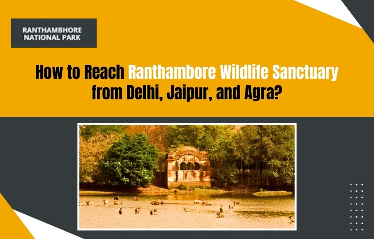 How to Reach Ranthambore Wildlife Sanctuary from Delhi, Jaipur, and Agra?