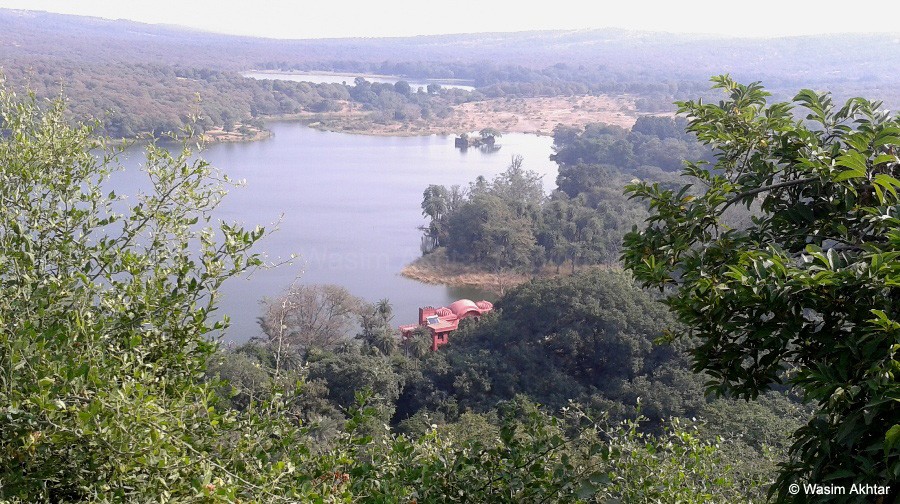 Jogi Mahal from ranthambore Fort