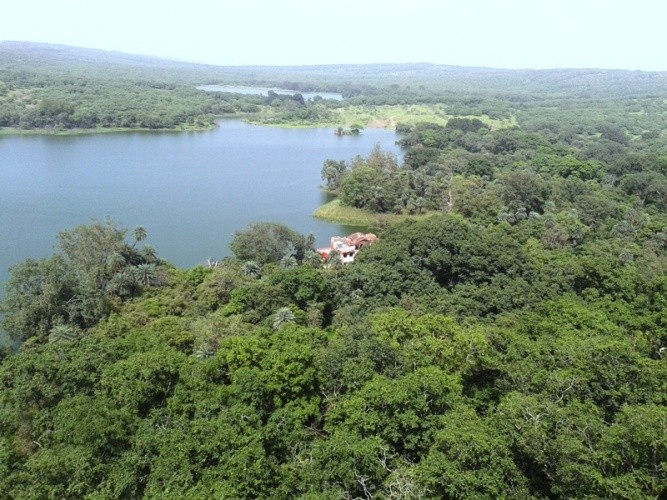 Park View from The Fort