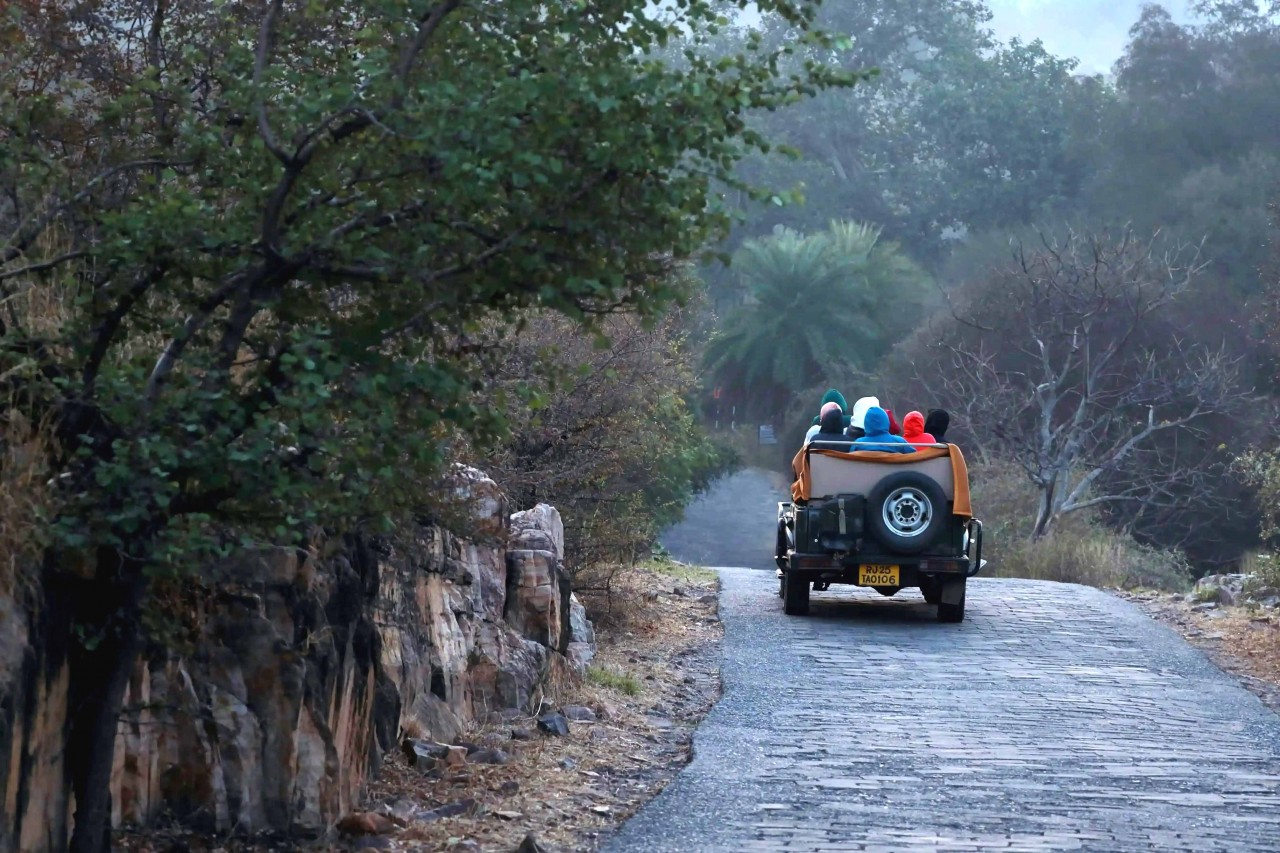RNP Jeep Photo