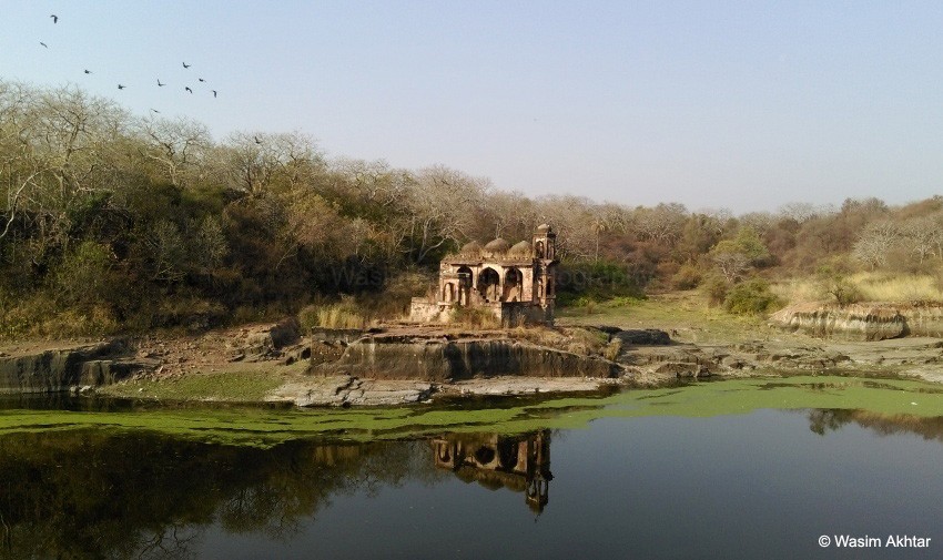 Rani Tank ranthambore Fort