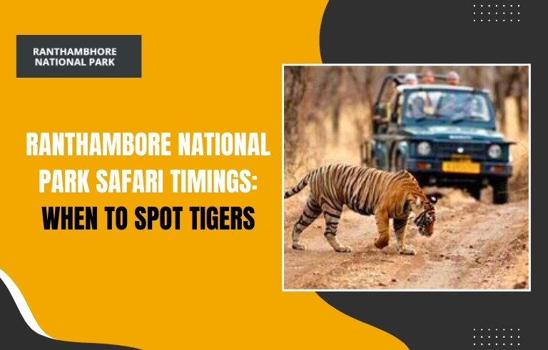 Ranthambore National Park Safari Timings: When to Spot Tigers
