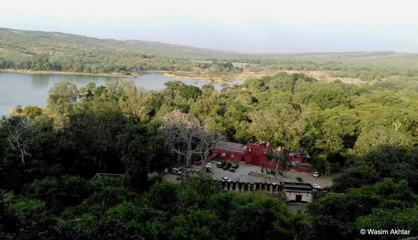 Ranthambore National park view from the Fort
