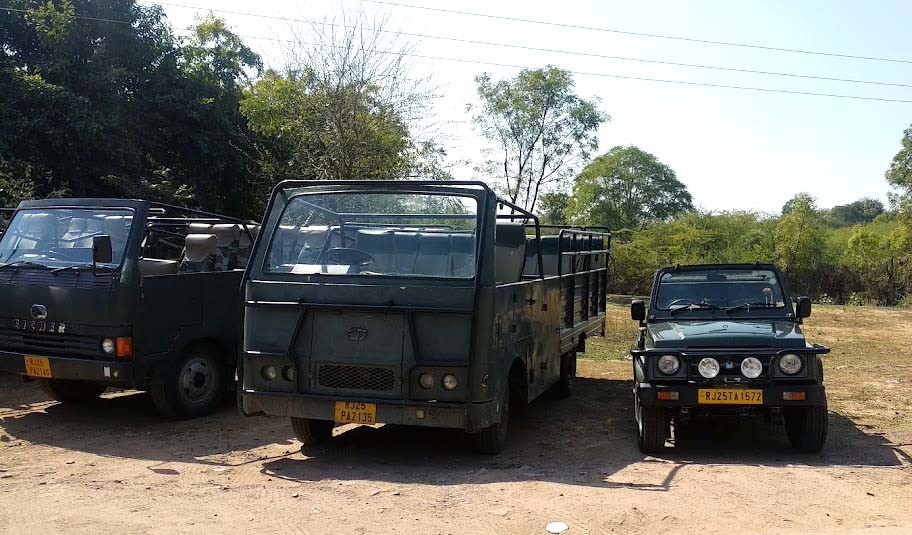 Ranthambore Safari Jeep and Canter