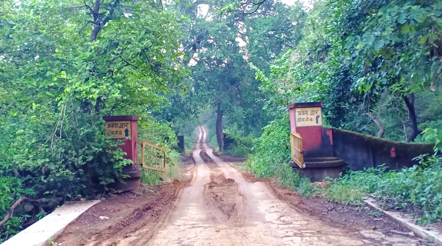 Ranthambore Safari Zone