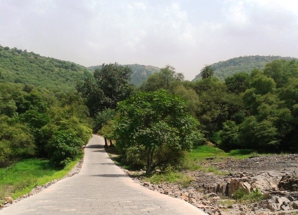 Ranthambore fort way