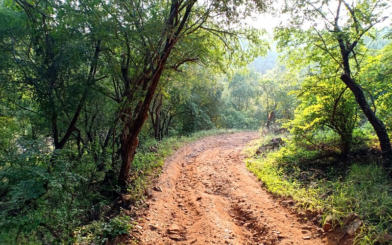 Safari Route Ranthambore