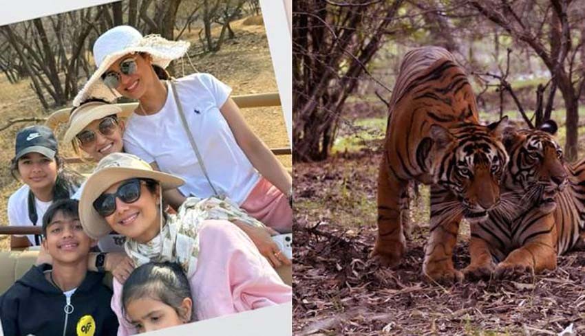 Shilpa Shetty visited Ranthambore National Park