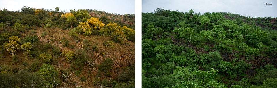 The same landscape in two different seasons