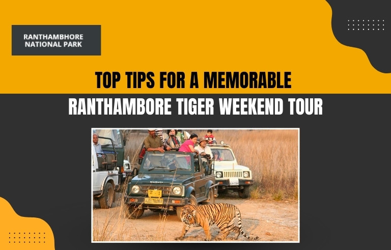 Top Tips for a Memorable Ranthambore Tiger Weekend Tour