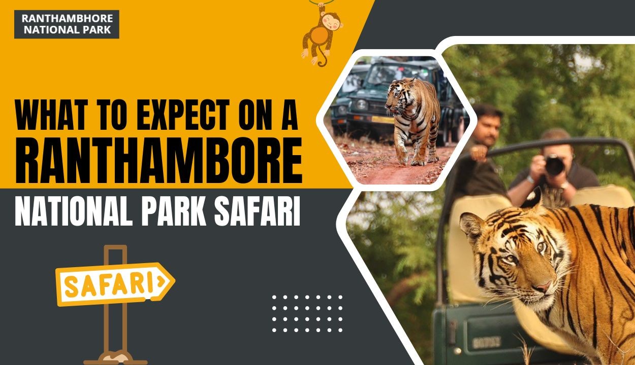 What to Expect on a Ranthambore National Park Safari