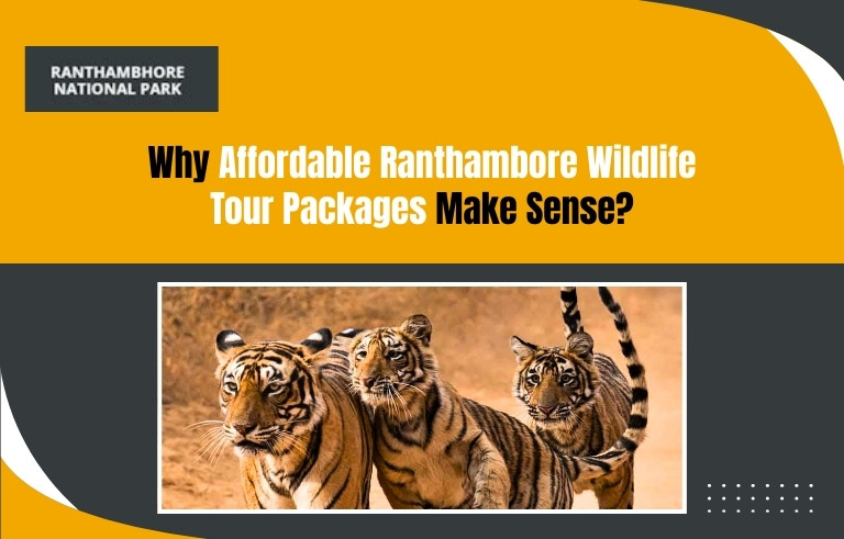 Why Affordable Ranthambore Wildlife Tour Packages Make Sense?
