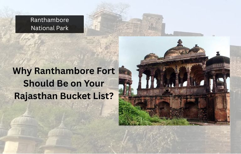 Why Ranthambore Fort Should Be on Your Rajasthan Bucket List?