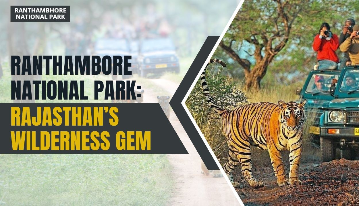 Ranthambore National Park: Rajasthan’s Wilderness Gem