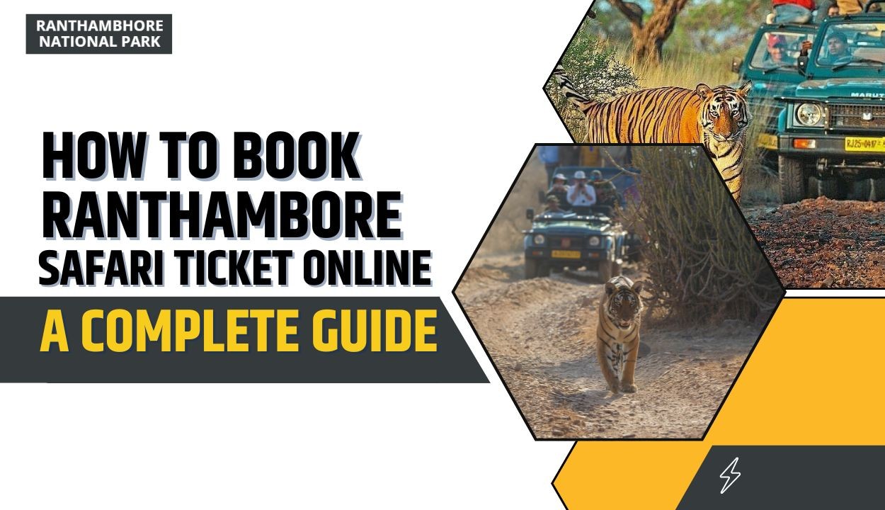 How to Book Ranthambore Safari Ticket Online - Tour Guide