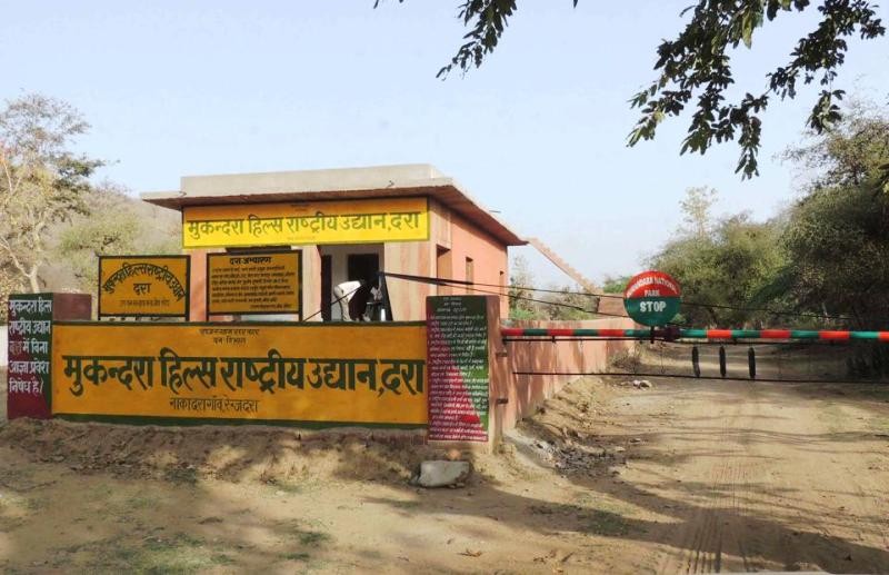 mukundra hills tiger reserve file kota photo