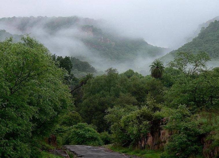 ranthambore in monsson