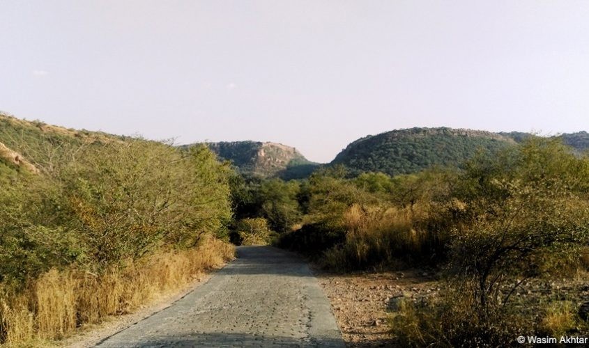 view of the ranthambore fort
