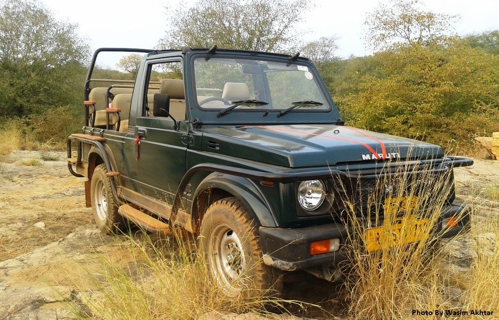 Ranthambore-National-Park-Jeep-Safari