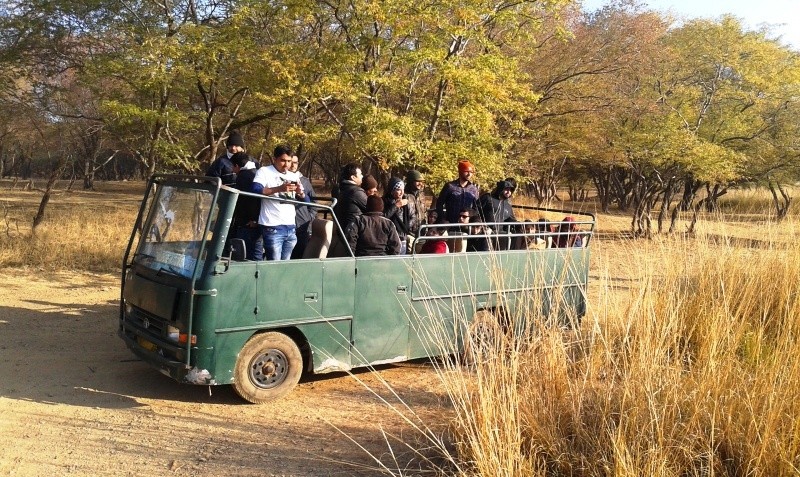 Canter safari in Ranthambore National Park 