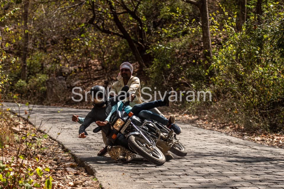 Bike rider hit with leopard in Ranthambore