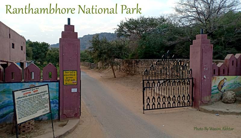 Ranthambore-National-Park-gate