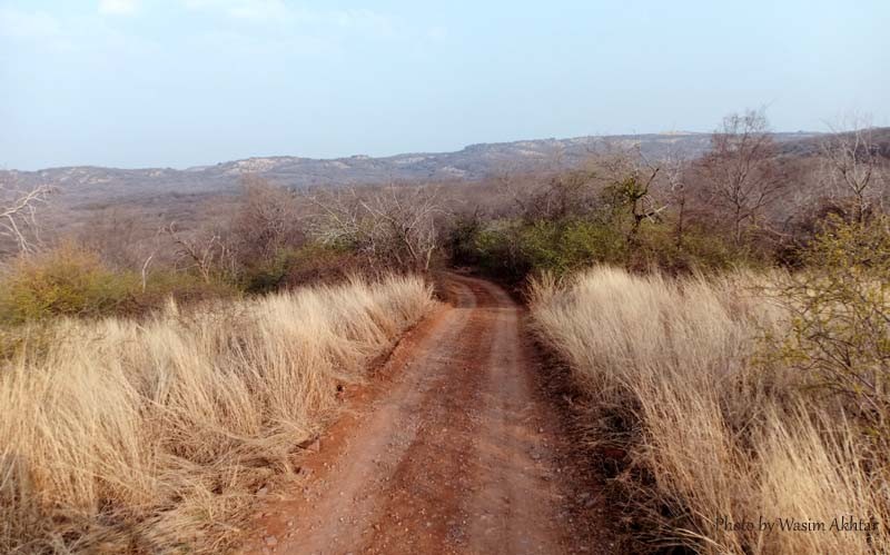 Ranthambore Safari Route