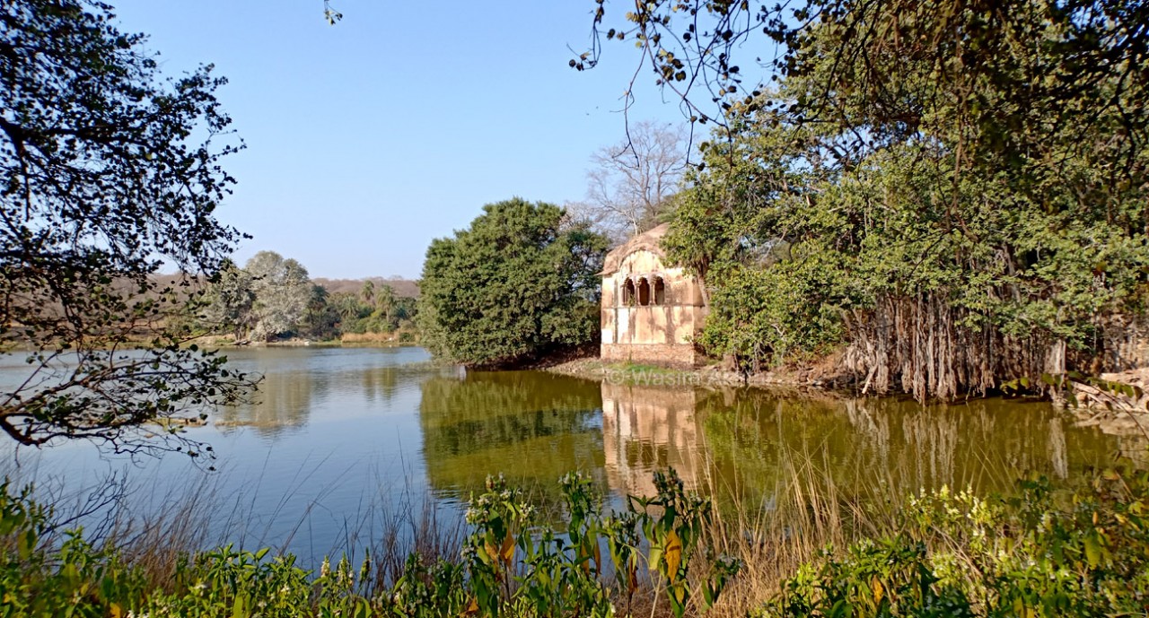 Ranthambhore National Park - Hunting Palace ( RajBagh Lake)