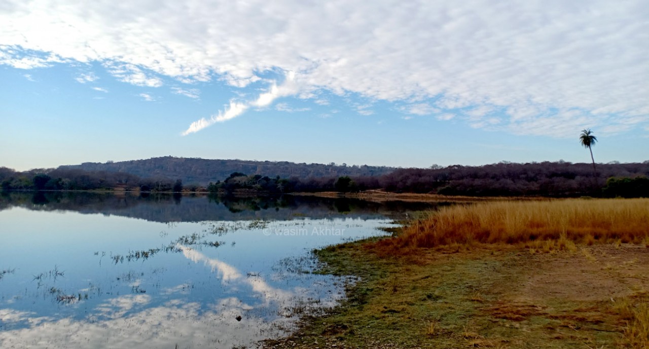 Ranthambhore National Park - RajBag Lake