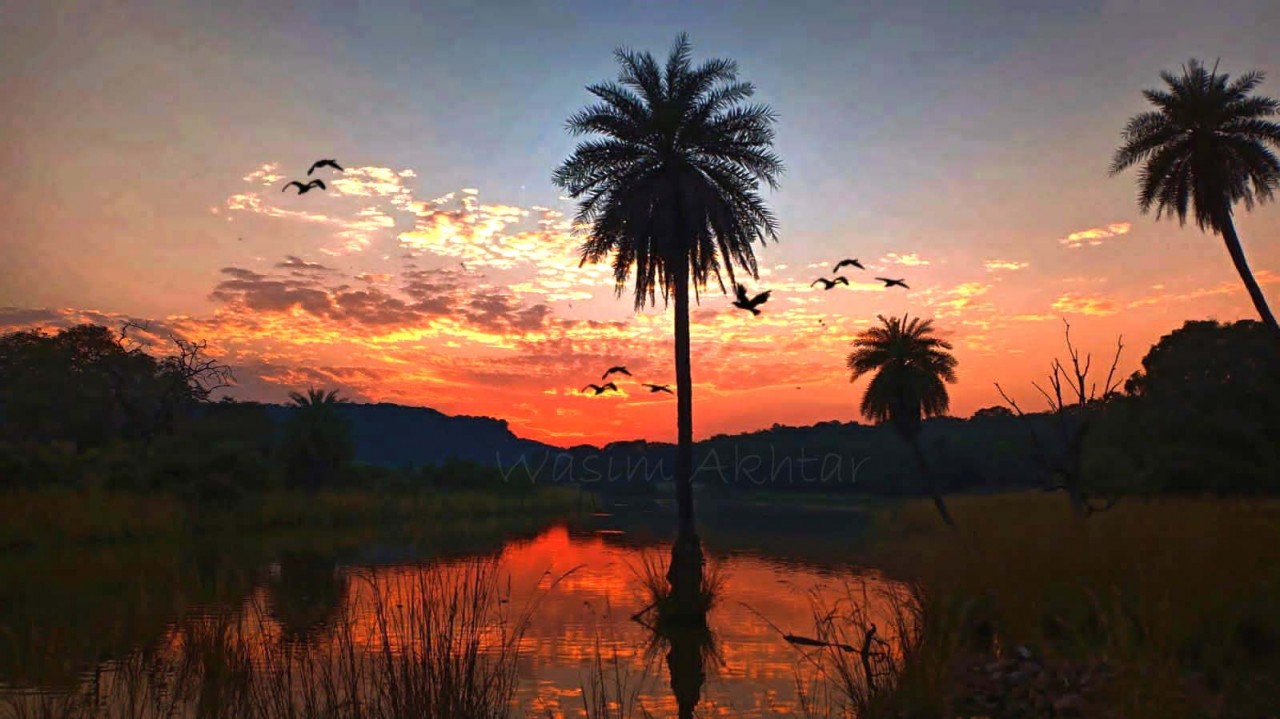 Sunset at Padam Lake in Ranthambore National Park