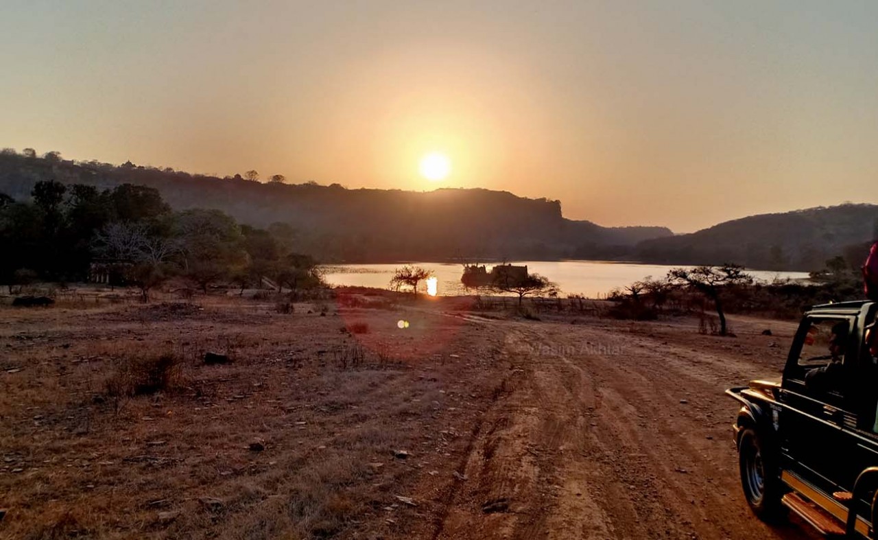 Ranthambore National Park Zone 3