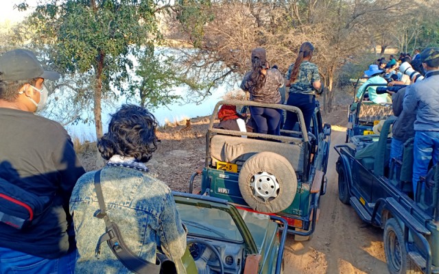 Safari rates in Ranthambore increased once again. TRDF up by 10 percent