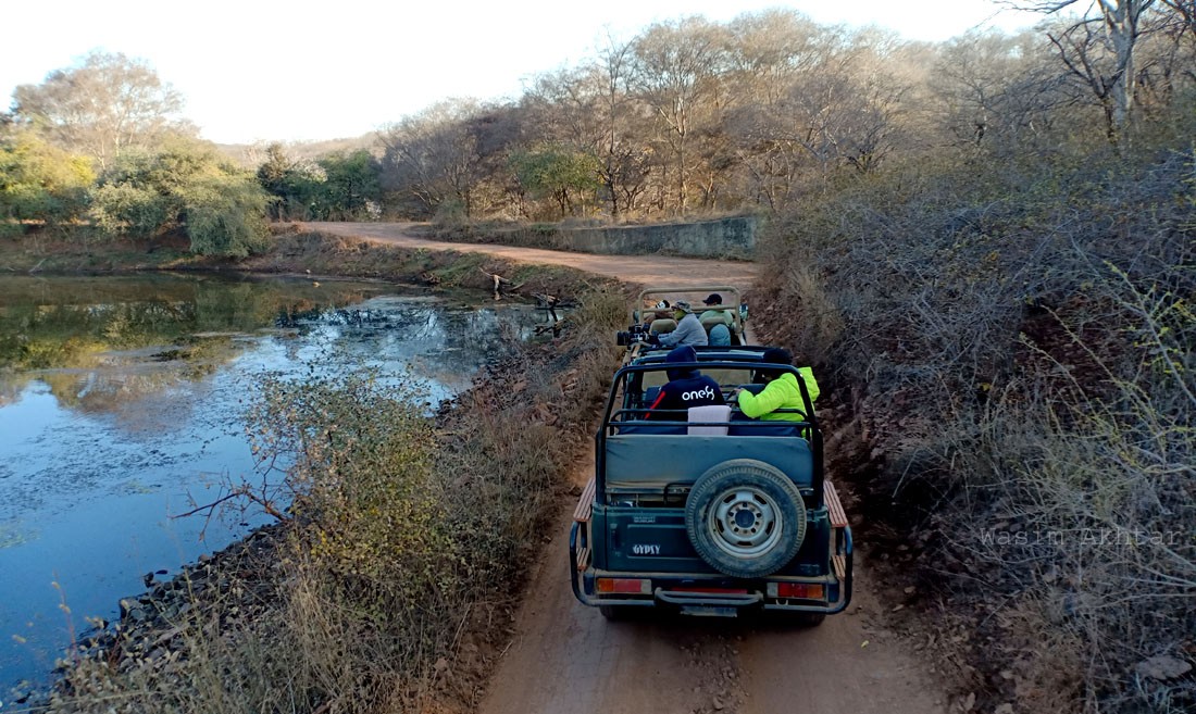 Ranthambore Safari Tour