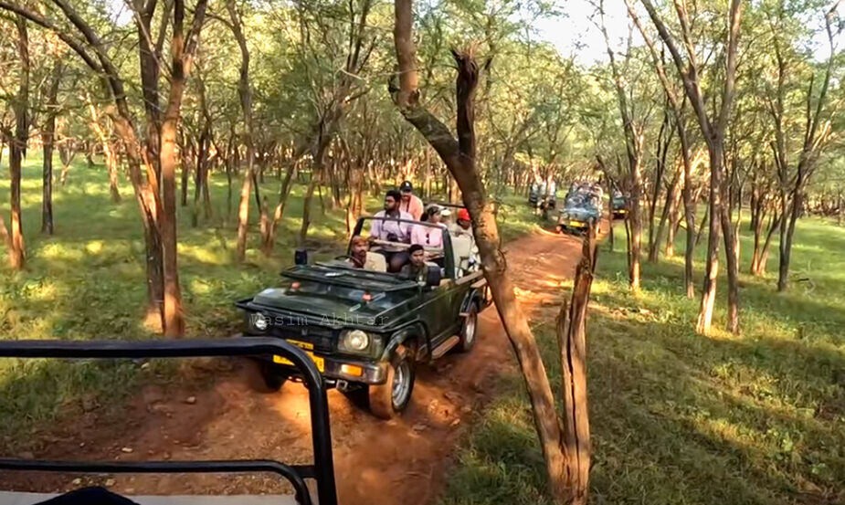 Ranthambore National Park Safari Booking