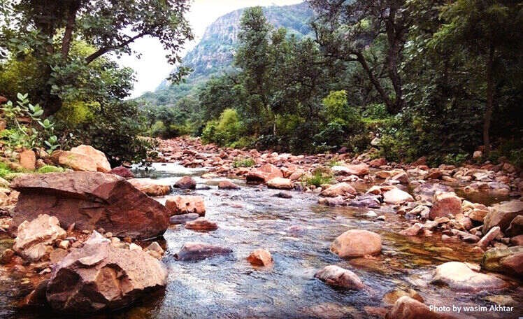 Ranthambore National Park in Rainy Season