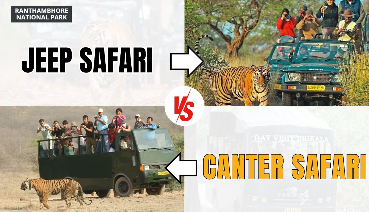 Ranthambore Jeep Safari Vs Canter Safari: ranthambhorenationalpark.in